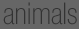 animals